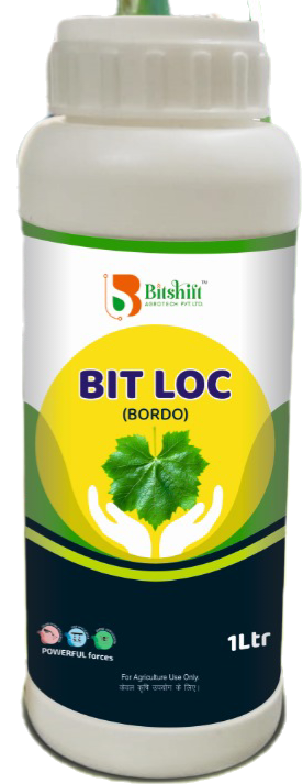 Bit Loc (Bordo)